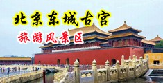 狂草小嫩穴中国北京-东城古宫旅游风景区